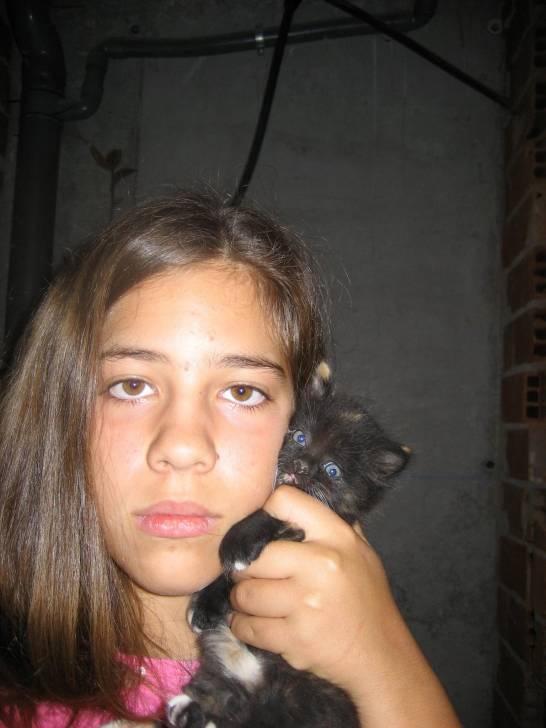 Gremlin - Mâle (1 mois)