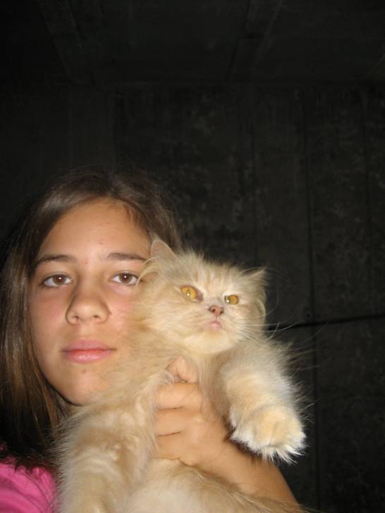 Kiti - (2 ans)