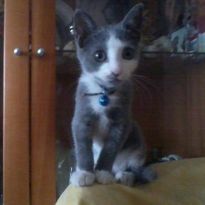 Lorena - (3 mois)