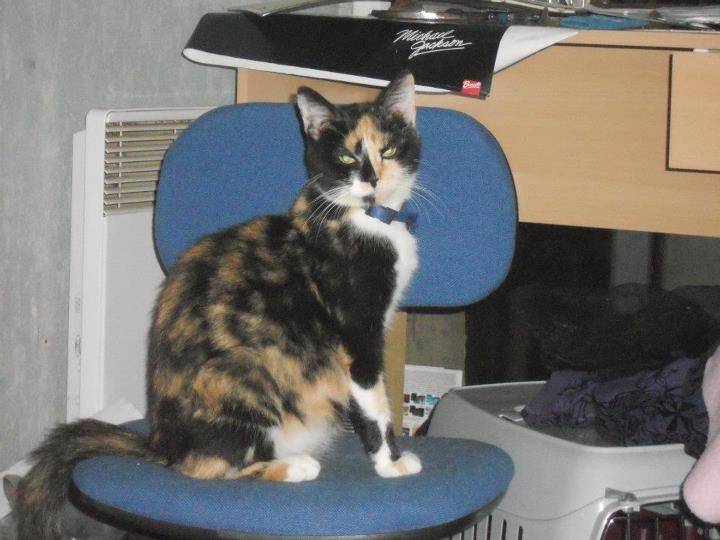 emeraude - (2 ans)