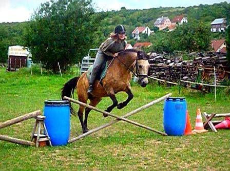 Ginger - (14 ans)
