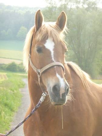 Sonny - (22 ans)