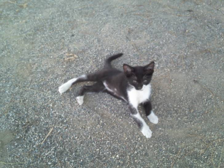 mini!! - (2 ans)