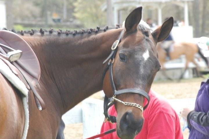 Eclipse - (21 ans)
