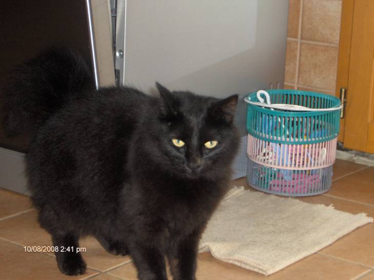 Bouba - (8 ans)