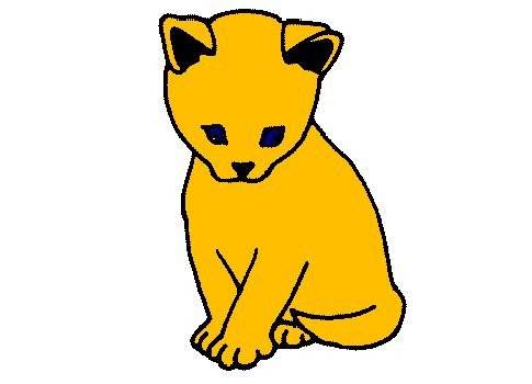 Katze - (1 mois)
