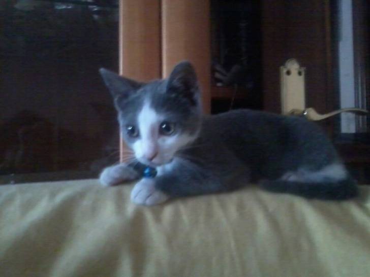 Lorena - (4 mois)