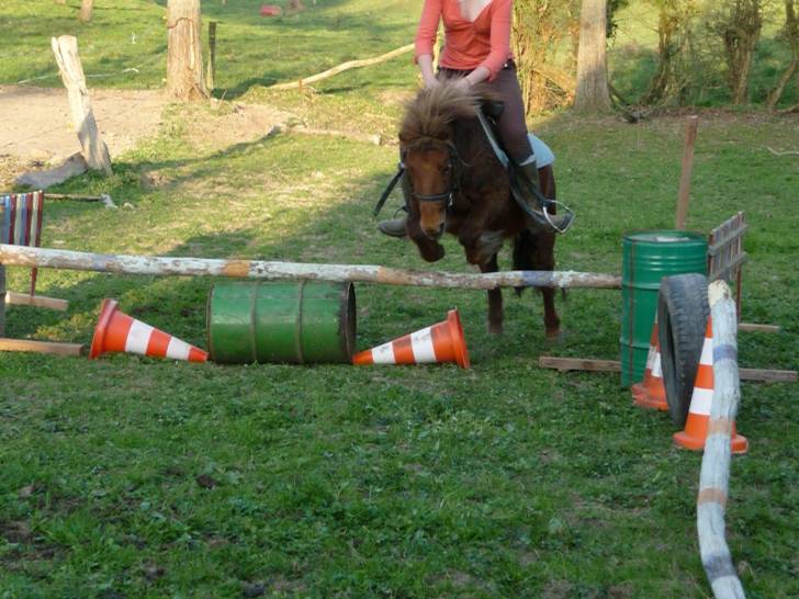 Pupuce - (9 ans)