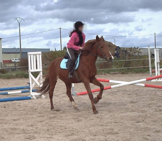 Guérande - (12 ans)