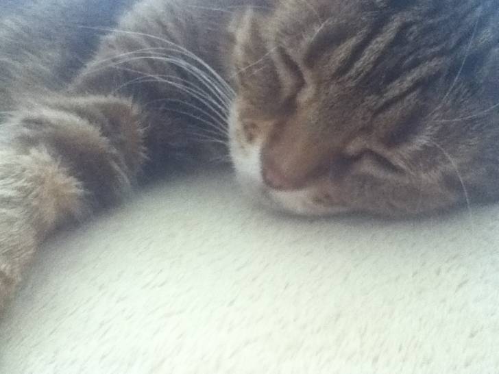 Mia - (4 ans)