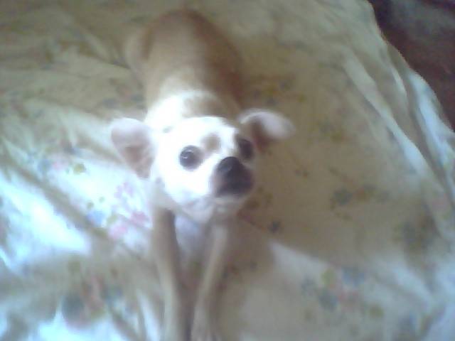nelly - (7 ans)