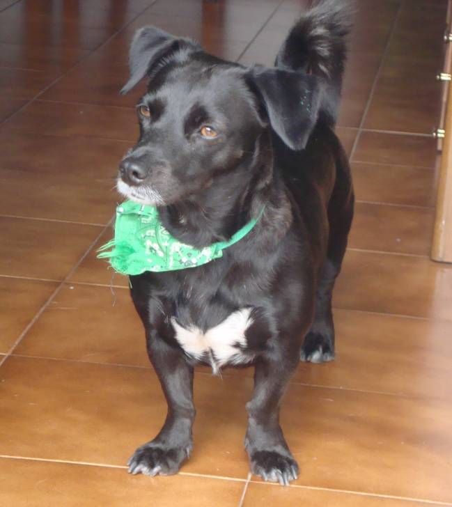 diva - (5 ans)