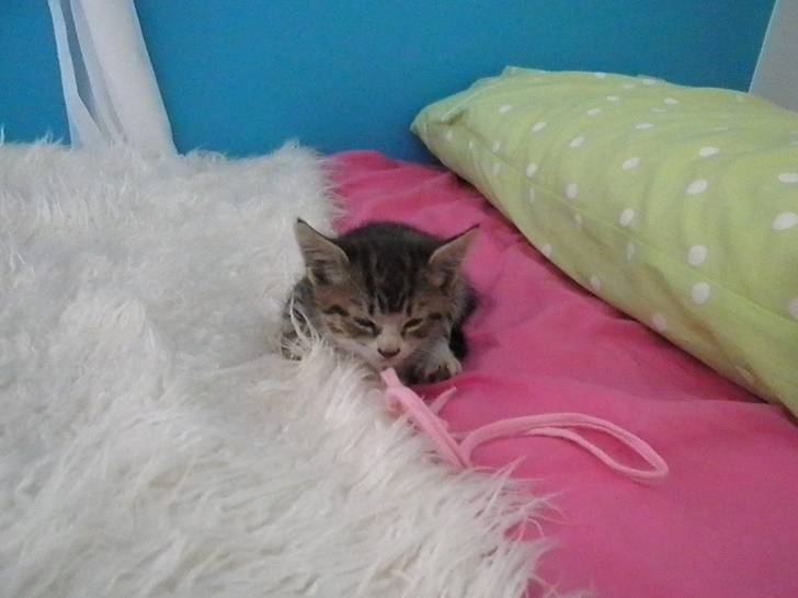 Boo (: - (8 mois)