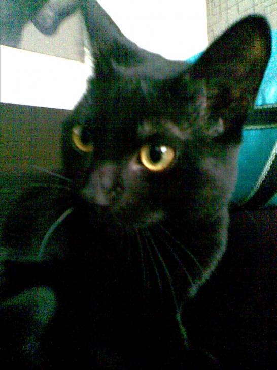 Tilly - (3 ans)