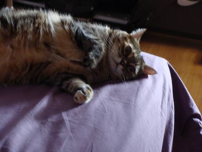 mummy - (6 ans)