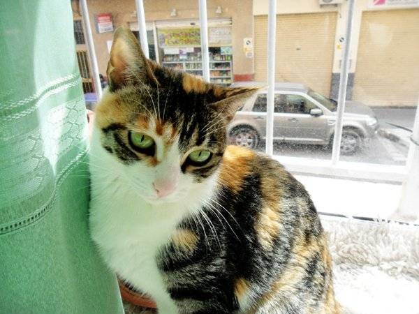 Picky. - (7 ans)