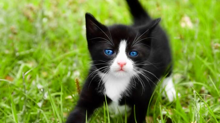 Stormy - (3 mois)