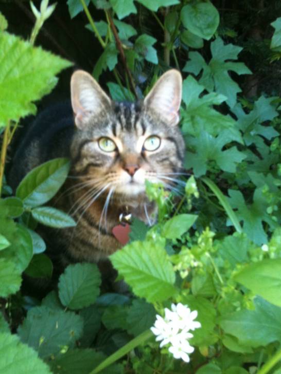 Ruby - (3 ans)