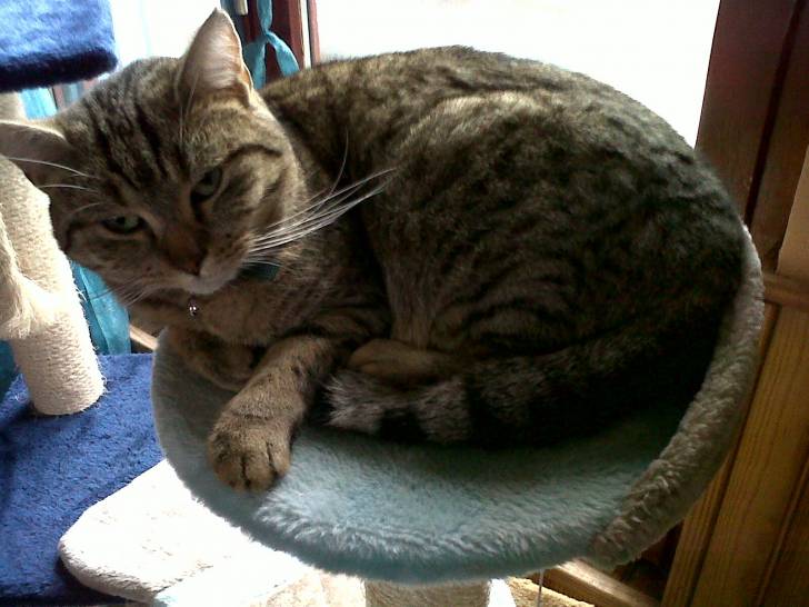 mimine - (2 ans)