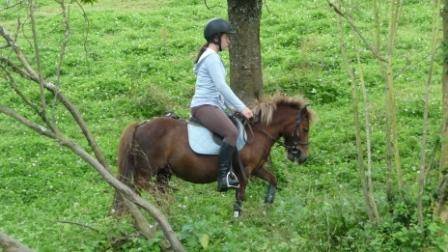 Pupuce - (9 ans)