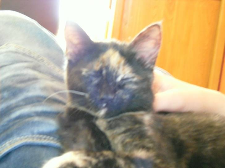 caline50 - (2 ans)