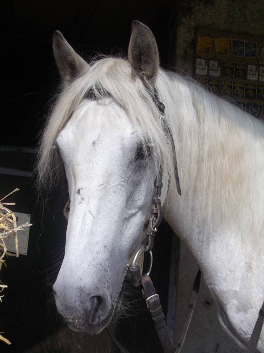 Kaya - (15 ans)