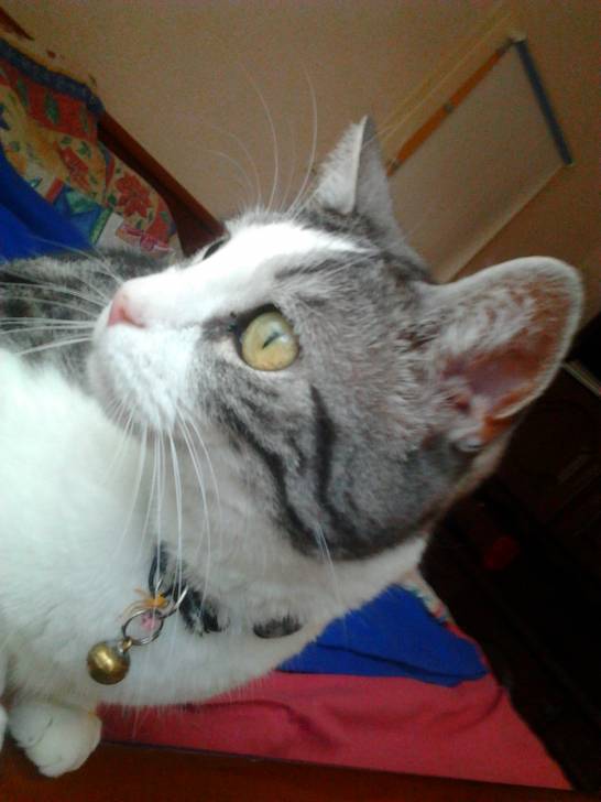Maya - (4 ans)