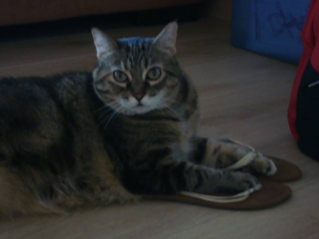 mummy et mes chaussure! - (6 ans)