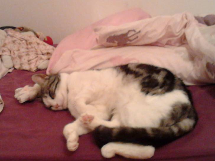 Maya - (4 ans)