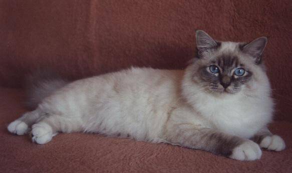 floricienta - (6 ans)