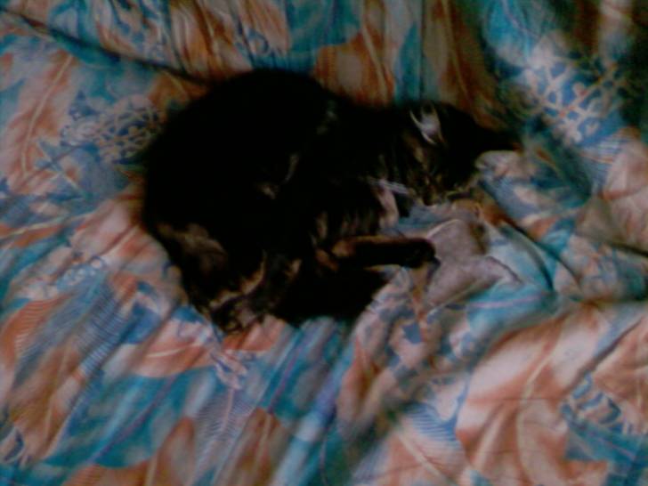Diane - (4 ans)