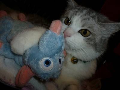 Praline - (7 ans)