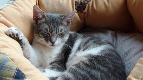 Kiina - (2 ans)
