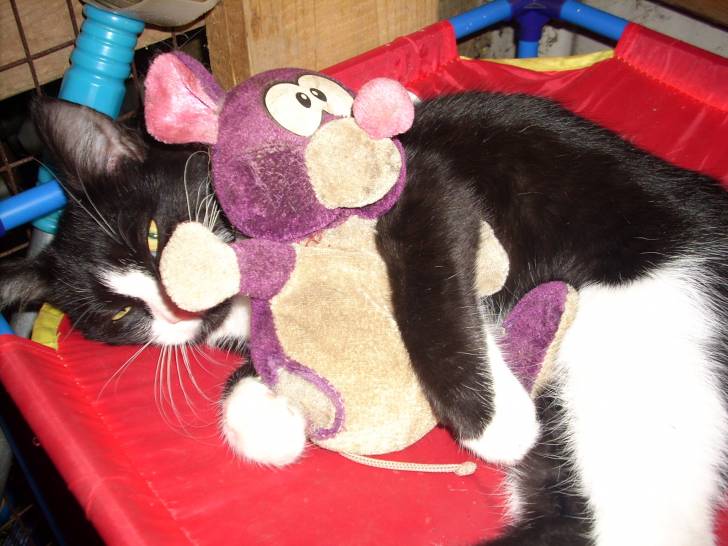 Moo Moo - (5 mois)