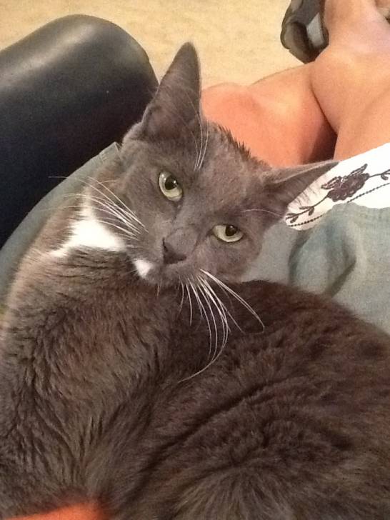 Bisbee - (3 ans)
