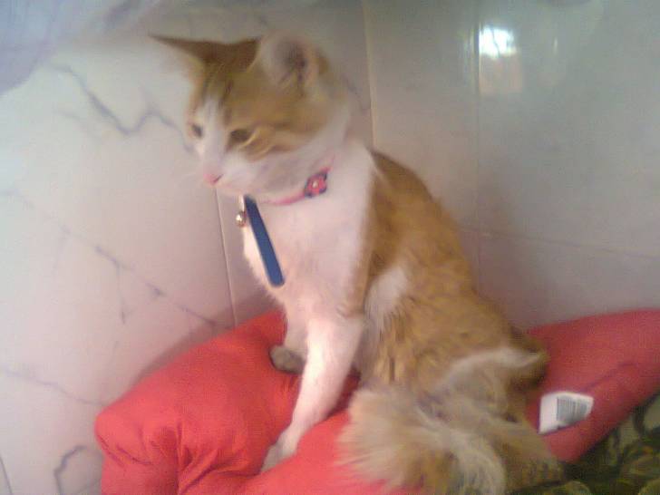 katsy - (2 ans)