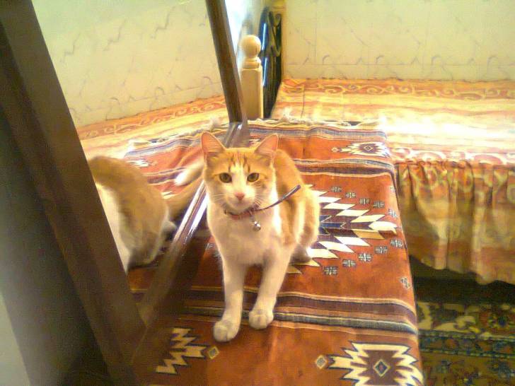 katsy - (2 ans)