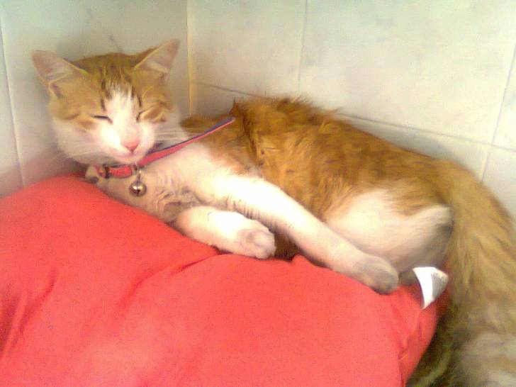 katsy - (2 ans)