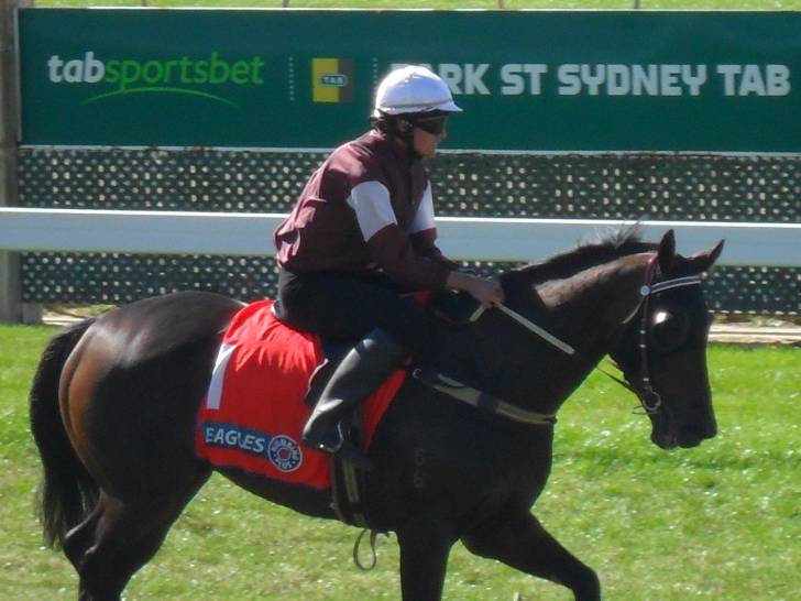 Thoroughbred - (4 ans)