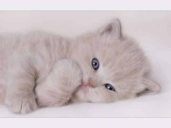 t - (3 mois)
