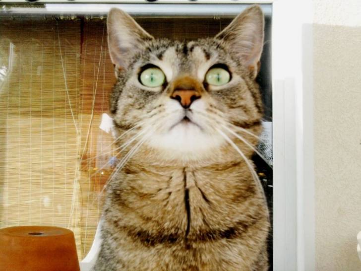 Miezi - (4 ans)