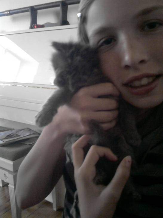 lio - Mâle (5 mois)