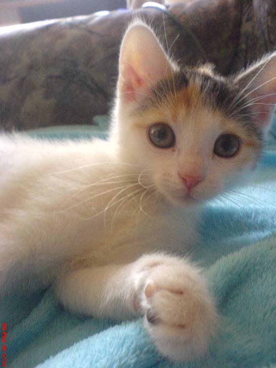 Amy - (2 ans)