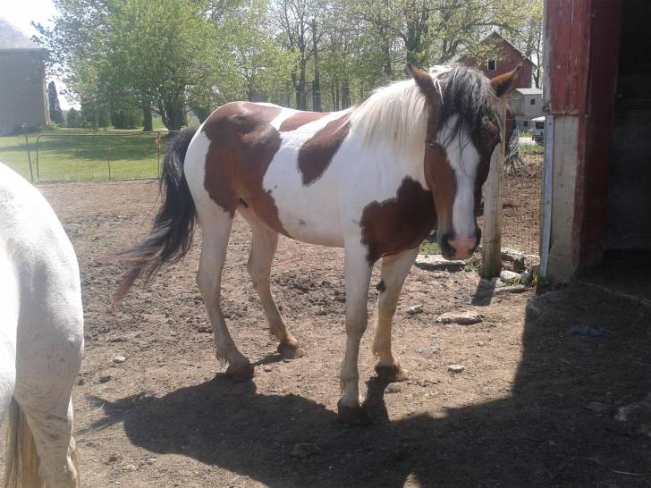no name yet - (6 ans)