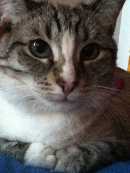 Timi - (6 ans)