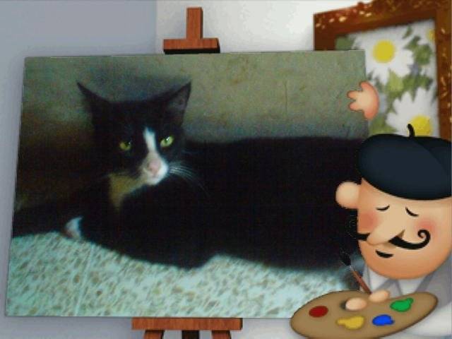 Sushi Yamashita - Mâle (4 ans)
