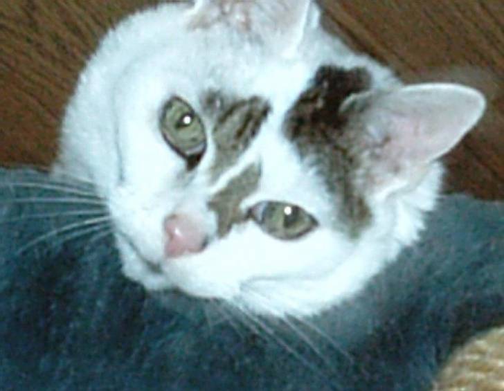 Sweety - (21 ans)