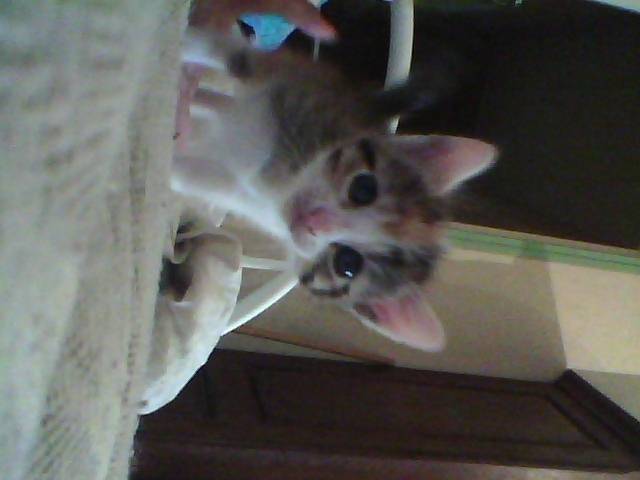 pas de nom - (3 mois)