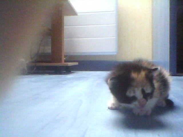 pas de nom - (1 mois)