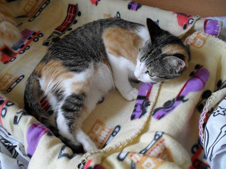 perle - (2 ans)